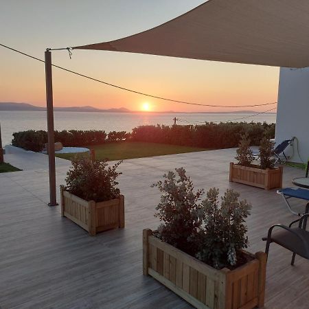 Dionysus House And Ariadne Apartment ستيليدا المظهر الخارجي الصورة