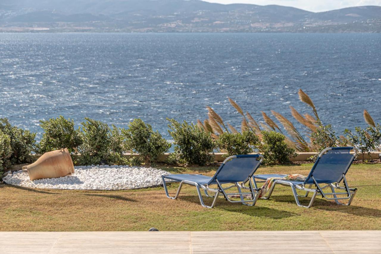 Dionysus House And Ariadne Apartment ستيليدا المظهر الخارجي الصورة
