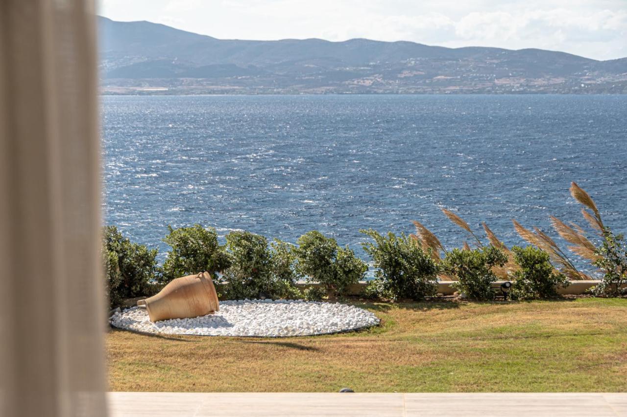 Dionysus House And Ariadne Apartment ستيليدا المظهر الخارجي الصورة