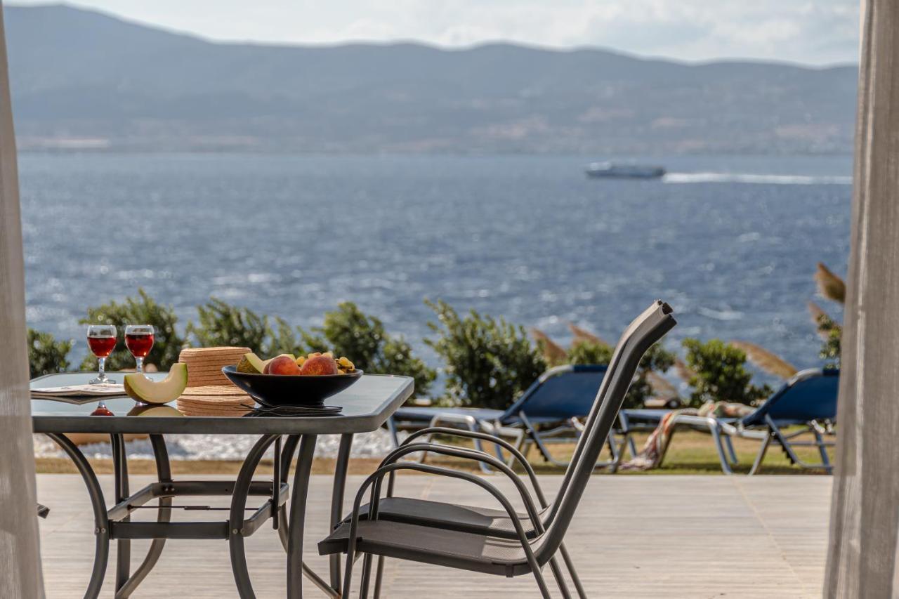 Dionysus House And Ariadne Apartment ستيليدا المظهر الخارجي الصورة