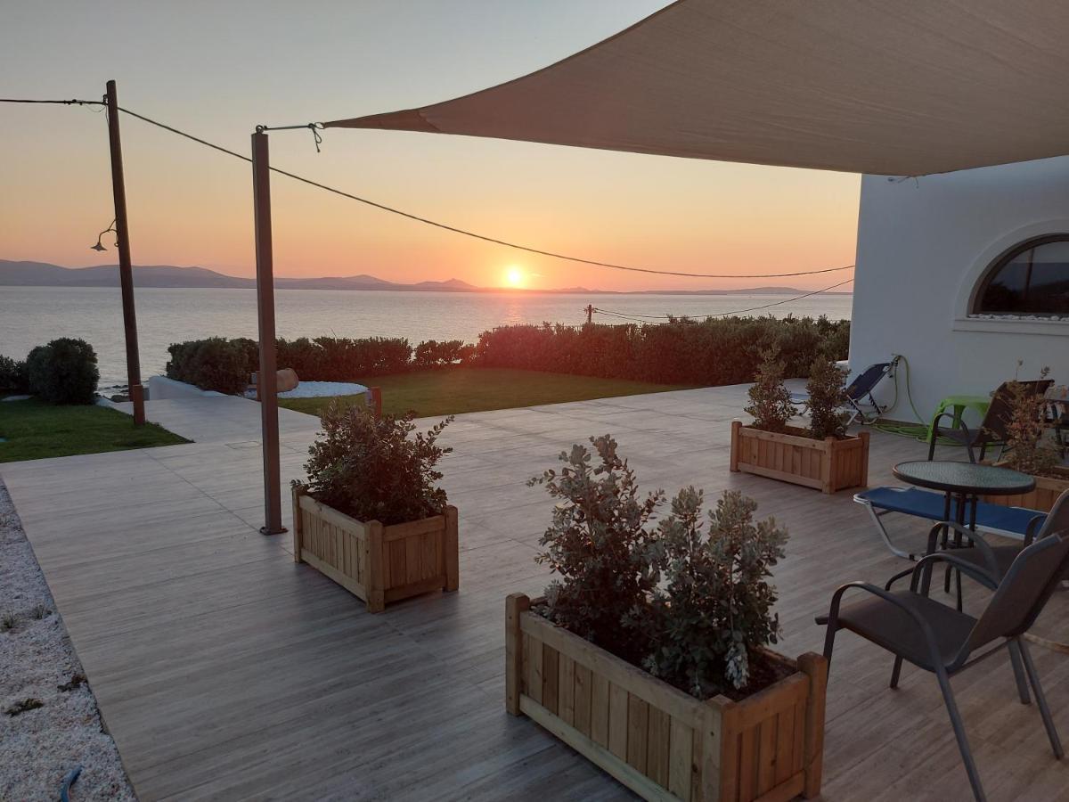 Dionysus House And Ariadne Apartment ستيليدا المظهر الخارجي الصورة